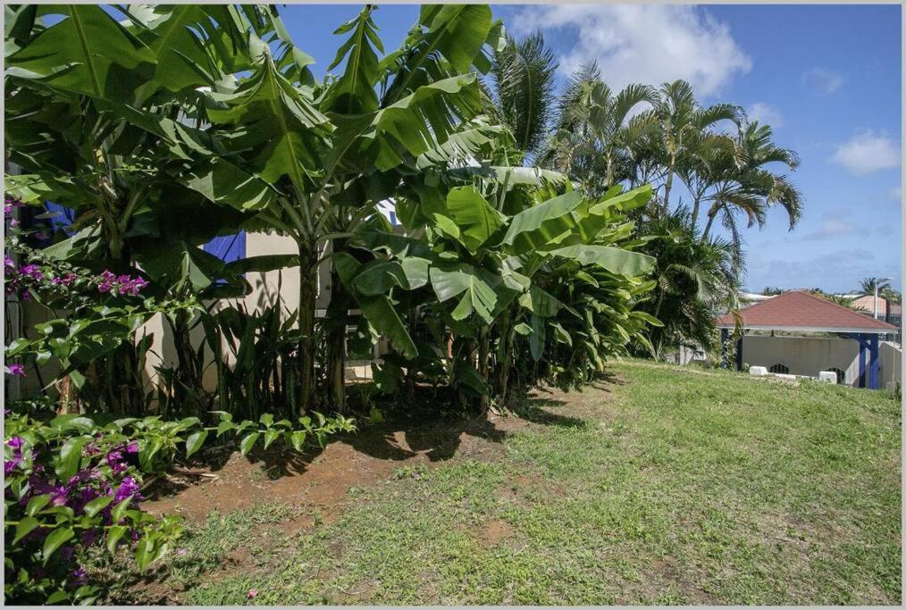 Villa Mango 150 Metres Plage A Pied Sainte-Luce Ngoại thất bức ảnh