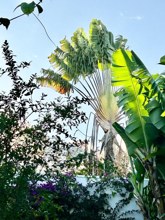 Villa Mango 150 Metres Plage A Pied Sainte-Luce Ngoại thất bức ảnh